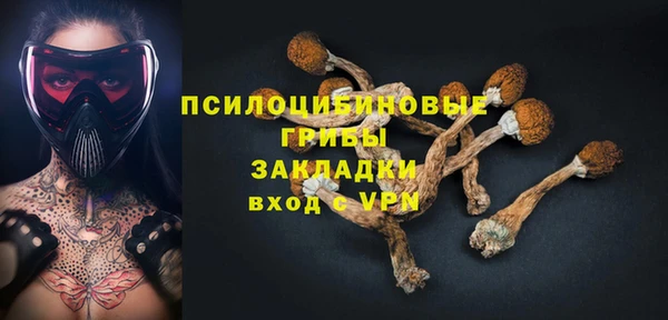 не бодяженный Горно-Алтайск