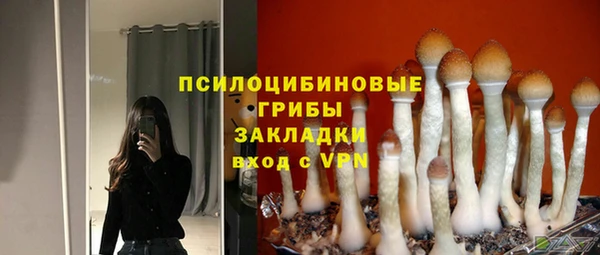 метадон Горняк