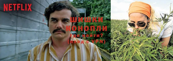 не бодяженный Горно-Алтайск